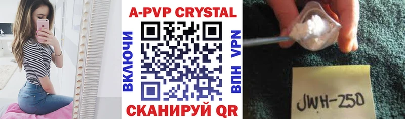 Alfa_PVP СК КРИС  OMG   Барнаул 