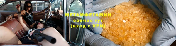 сатива Новодвинск