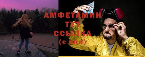 сатива Новодвинск