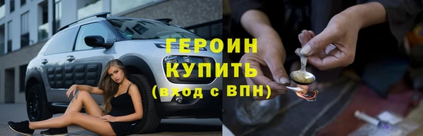 сатива Новодвинск