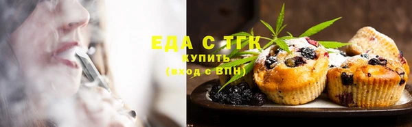 сатива Новодвинск