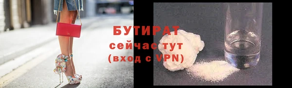 сатива Новодвинск