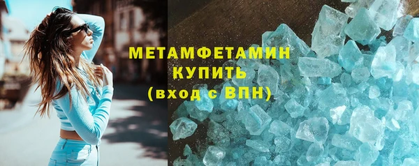 сатива Новодвинск
