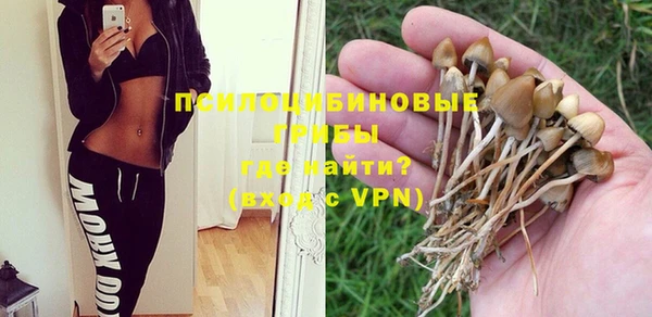 спайс Новокубанск