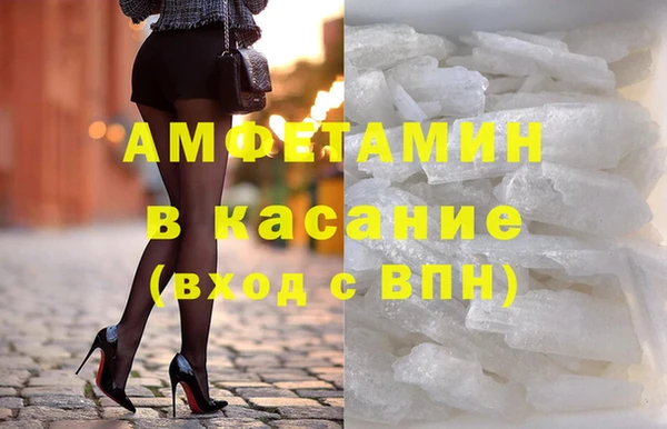 сатива Новодвинск