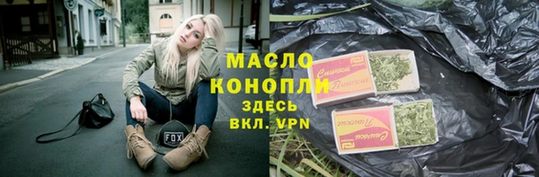 сатива Новодвинск