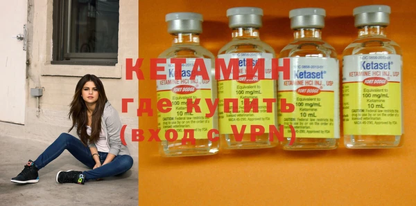 сатива Новодвинск