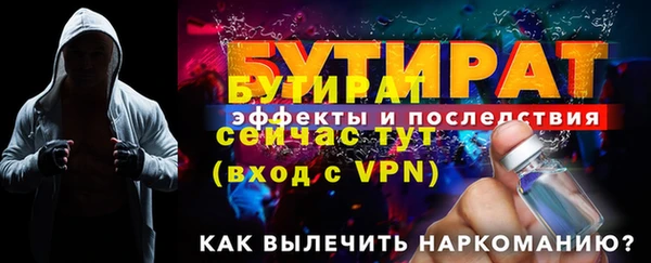 сатива Новодвинск