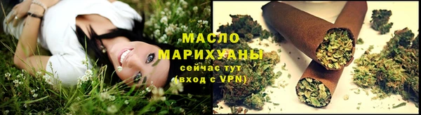 сатива Новодвинск