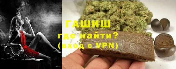 сатива Новодвинск