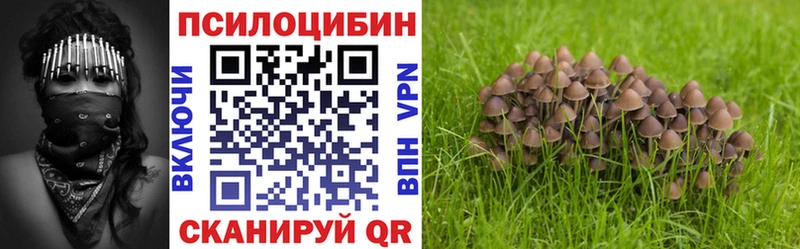 Галлюциногенные грибы Cubensis  Барнаул 