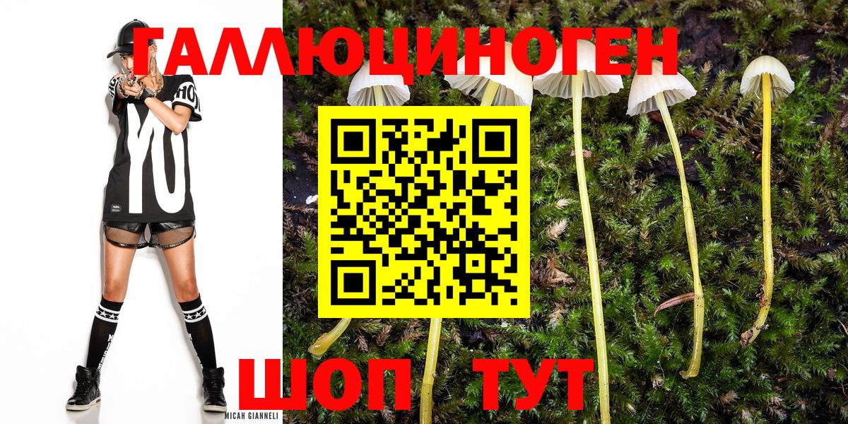Барнаул  Галлюциногенные грибы мицелий  Вход с VPN 